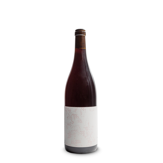 Barrel Selection קראסנה הורה - פינו נואר